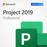 Microsoft Project 2019 Professional - Lifetime License Key for 1 PC